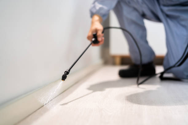 Licensed Pest Control service in Bret Harte, CA - Show Me Pest Control