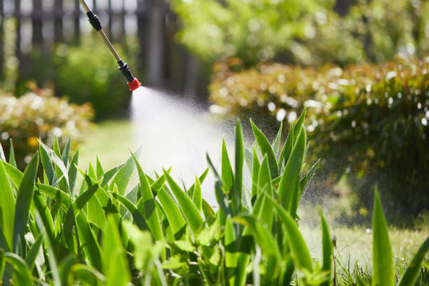 24/7 Emergency Wasp Removal experts in Bret Harte, CA
