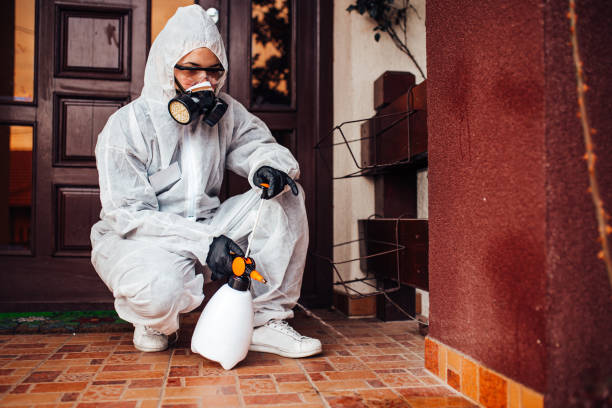 Reliable Wasp Removal contractor in Bret Harte, CA by Show Me Pest Control